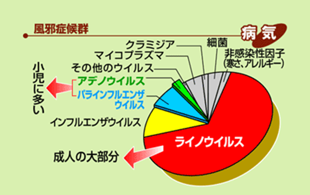 ウイルス ライノ