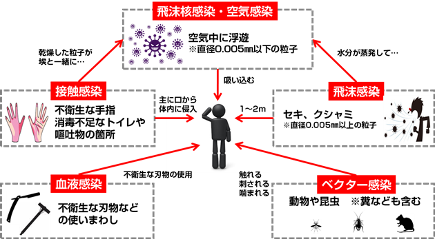 経路 mrsa 感染