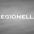 レジオネラ　Legionella