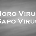 ノロウイルス　Noro Virus / サポウイルス　Sapo Virus