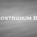 ボツリヌス菌　Clostridium Botulinum