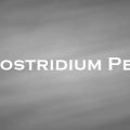 ウェルシュ菌　Clostridium Perfringens