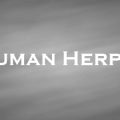 ヘルペスウイルス・ヒトヘルペスウイルス　Human Herpes Virus