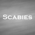 疥癬　Scabies