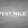 ウエストナイルウイルス　West Nile Virus