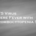 SFTSウイルス　SFTSV Severe Fever with Thrombocytopenia Syndrome Virus