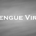デングウイルス　Dengue Virus