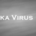 ジカウイルス　Zika Virus