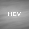 Ｅ型肝炎ウイルス　HEV