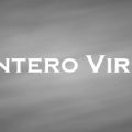 エンテロウイルス　Entero Virus