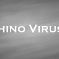 ライノウイルス　Rhino Virus